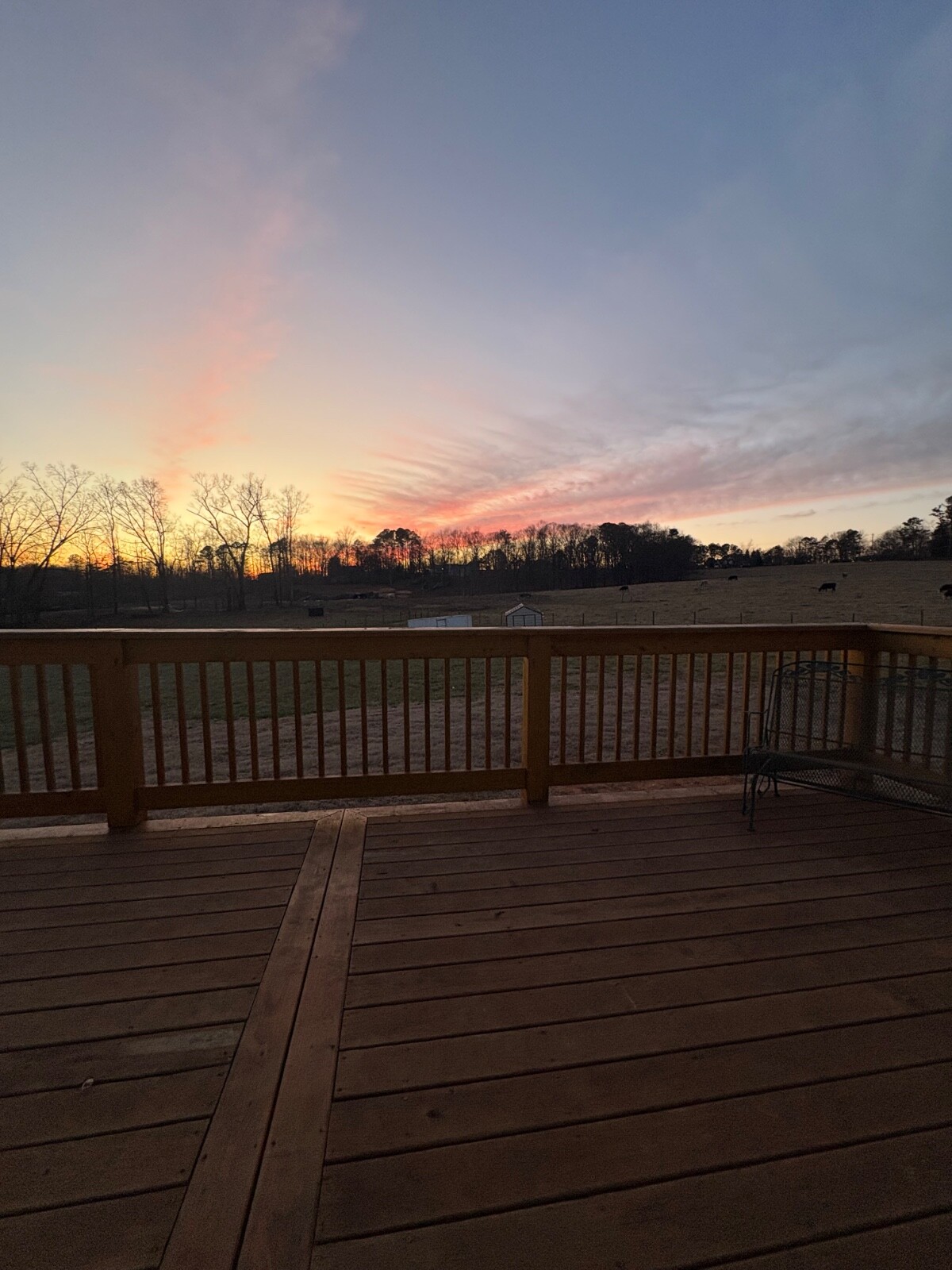 Mystery Farm Treasure – Real Surprise Item From a Small Family Farm!