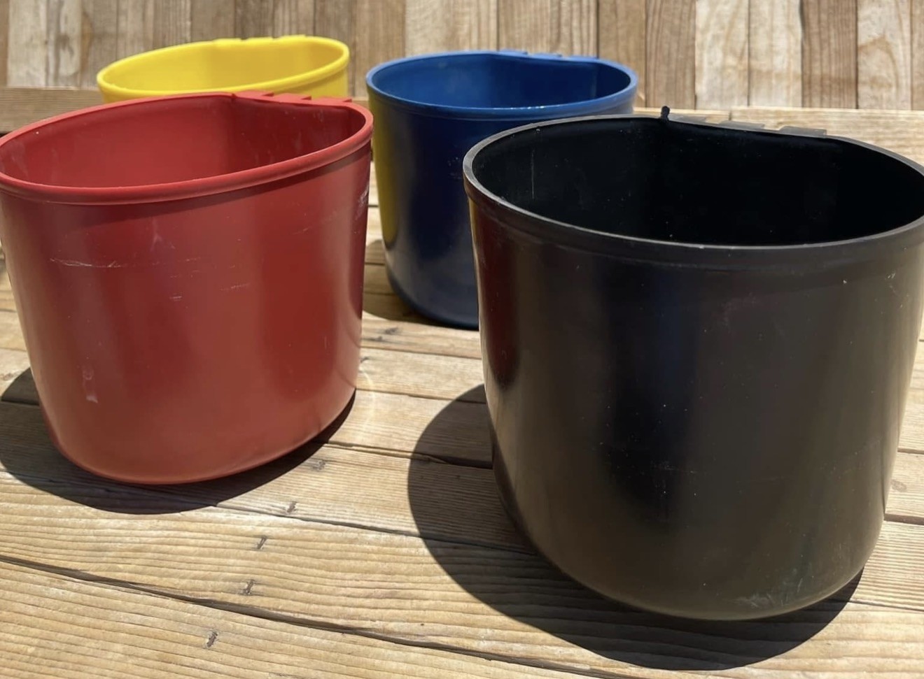 10 Bebederos para gallo Redondo 1 litro, color puede variar