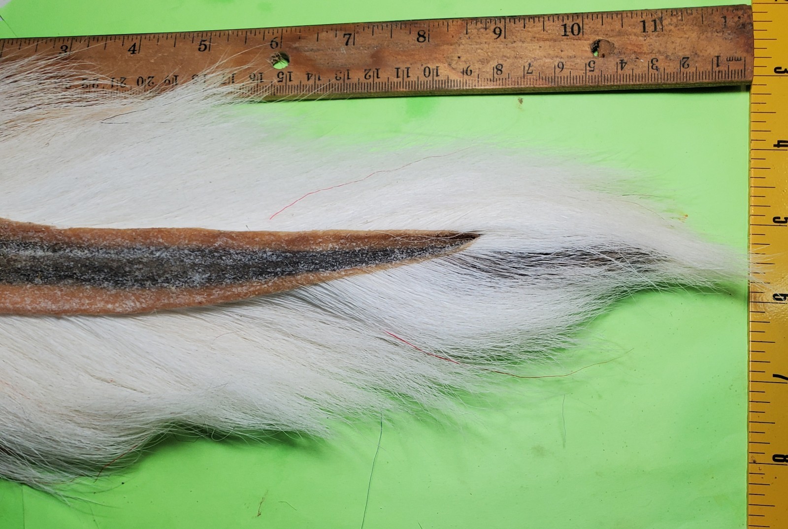 4x Bucktail- Natural White - 4 Inch Hair