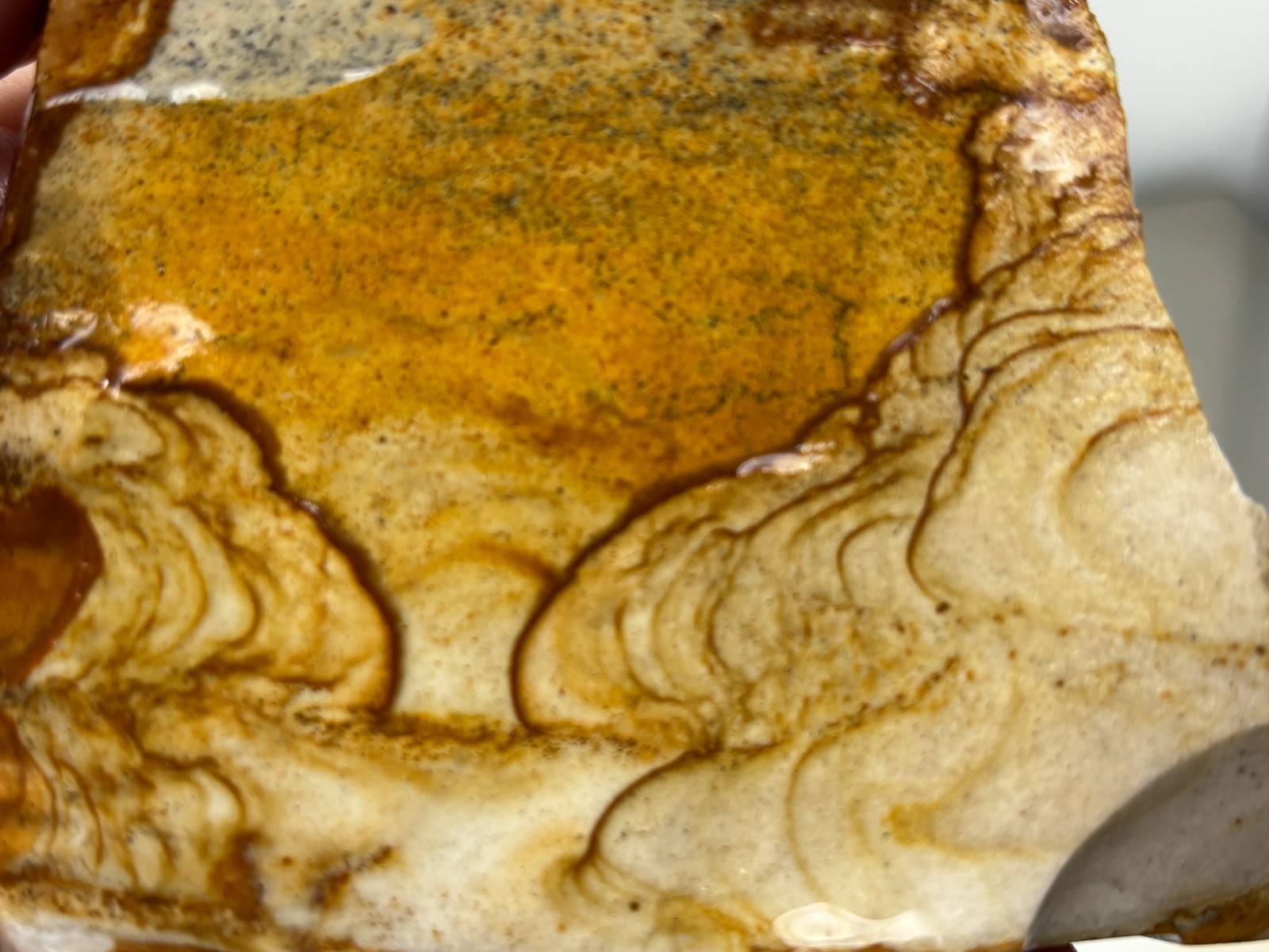 Disaster Peak Picture Jasper end slab Cabbing Lapidary Collecting Combo Ship Avl