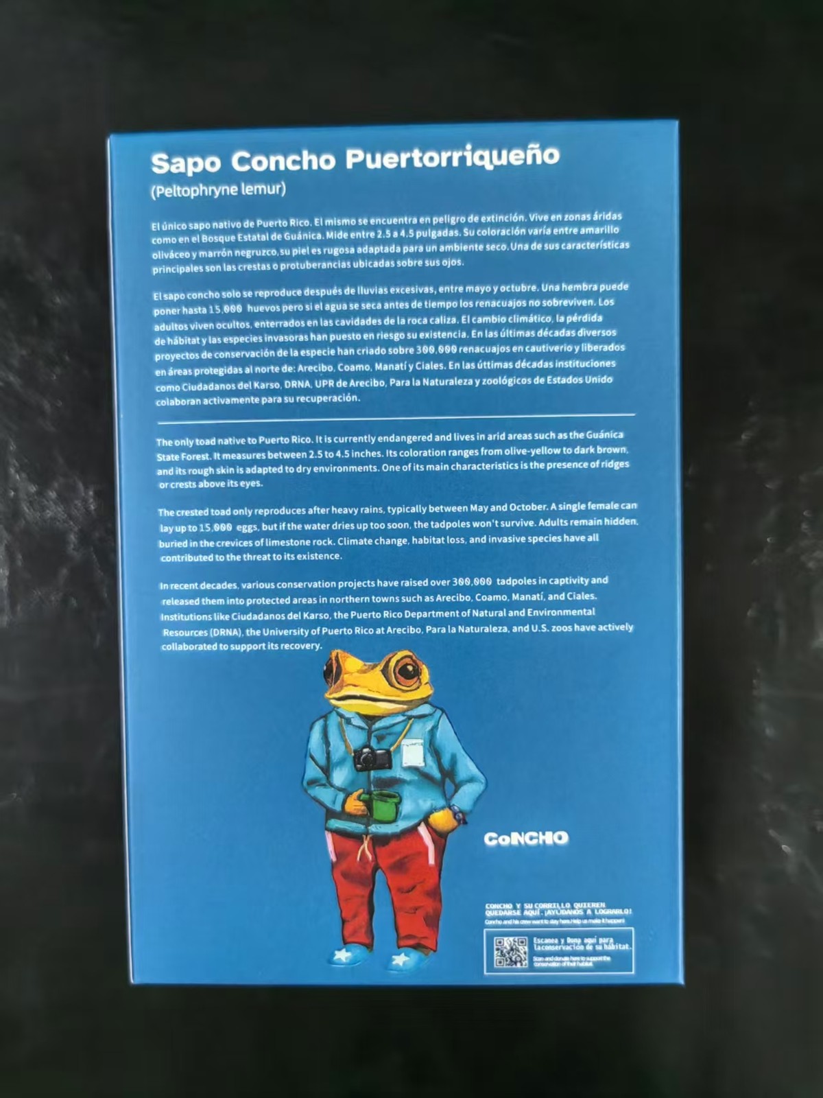 EL Sapo Concho DTMF Bad Bunny Key Rings Limited FROG PLUSH DOLL Boxeador Gift