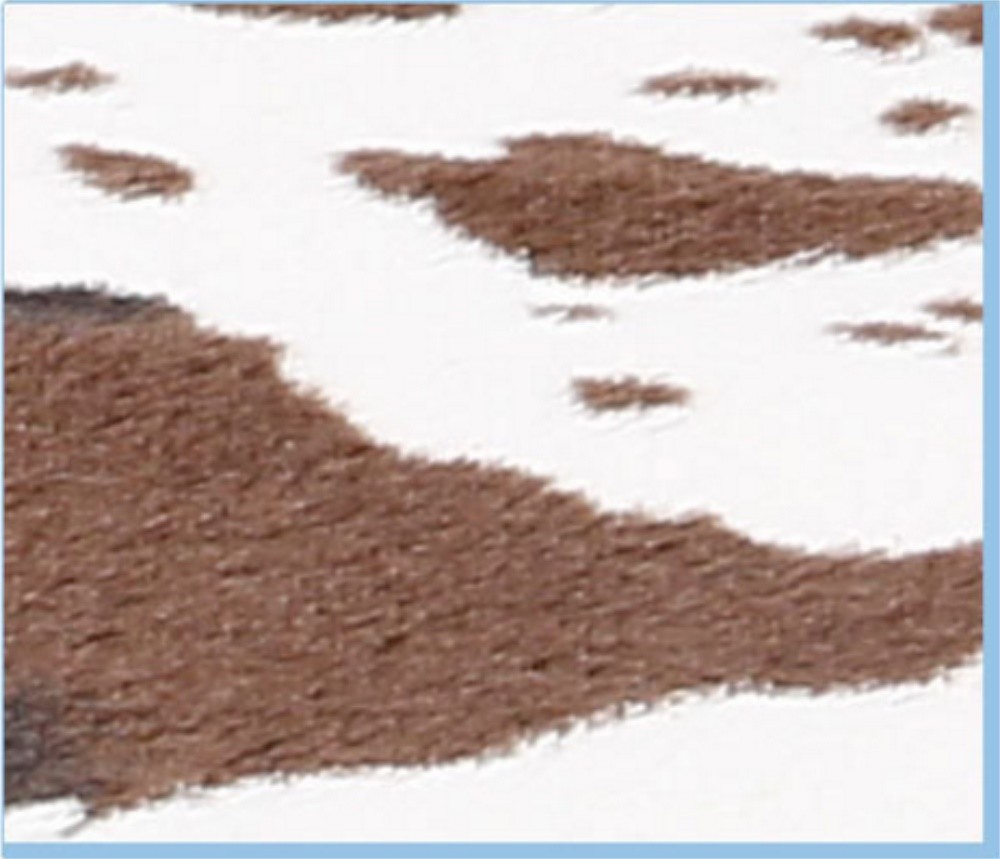 COWHIDE RUGS Area Rugs Cow Skin Hide COWHIDE 3.6x2.5 Feet Faux Leather Carpe