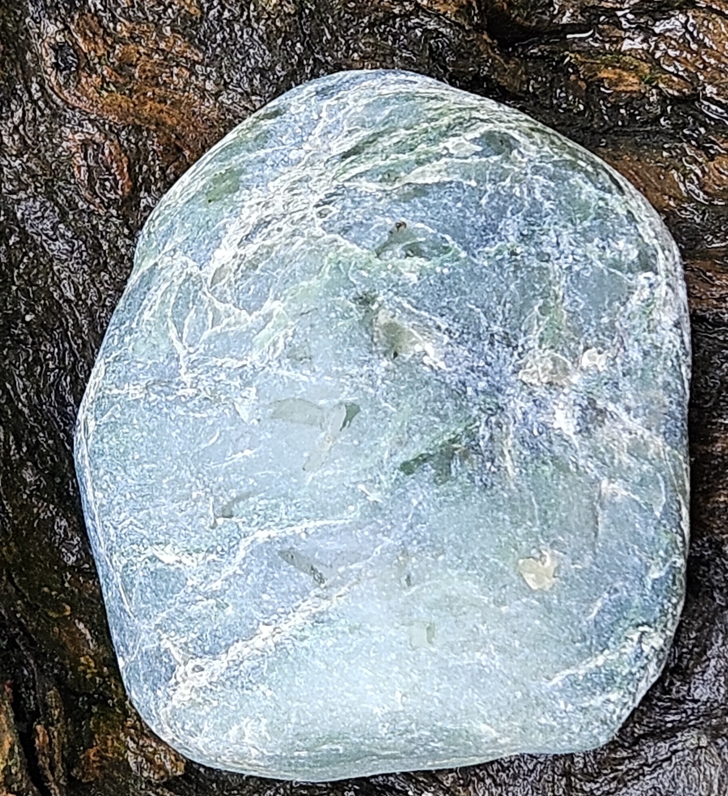 Nephrite Transluscent Jade Rough Jade Cove Willow Creek California 329 Grams