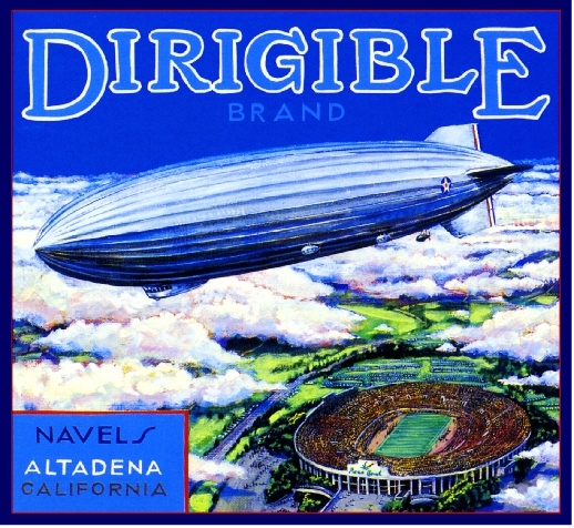 Pasadena Dirigible Blimp Rose Bowl Orange Citrus Fruit Crate Label Art Print
