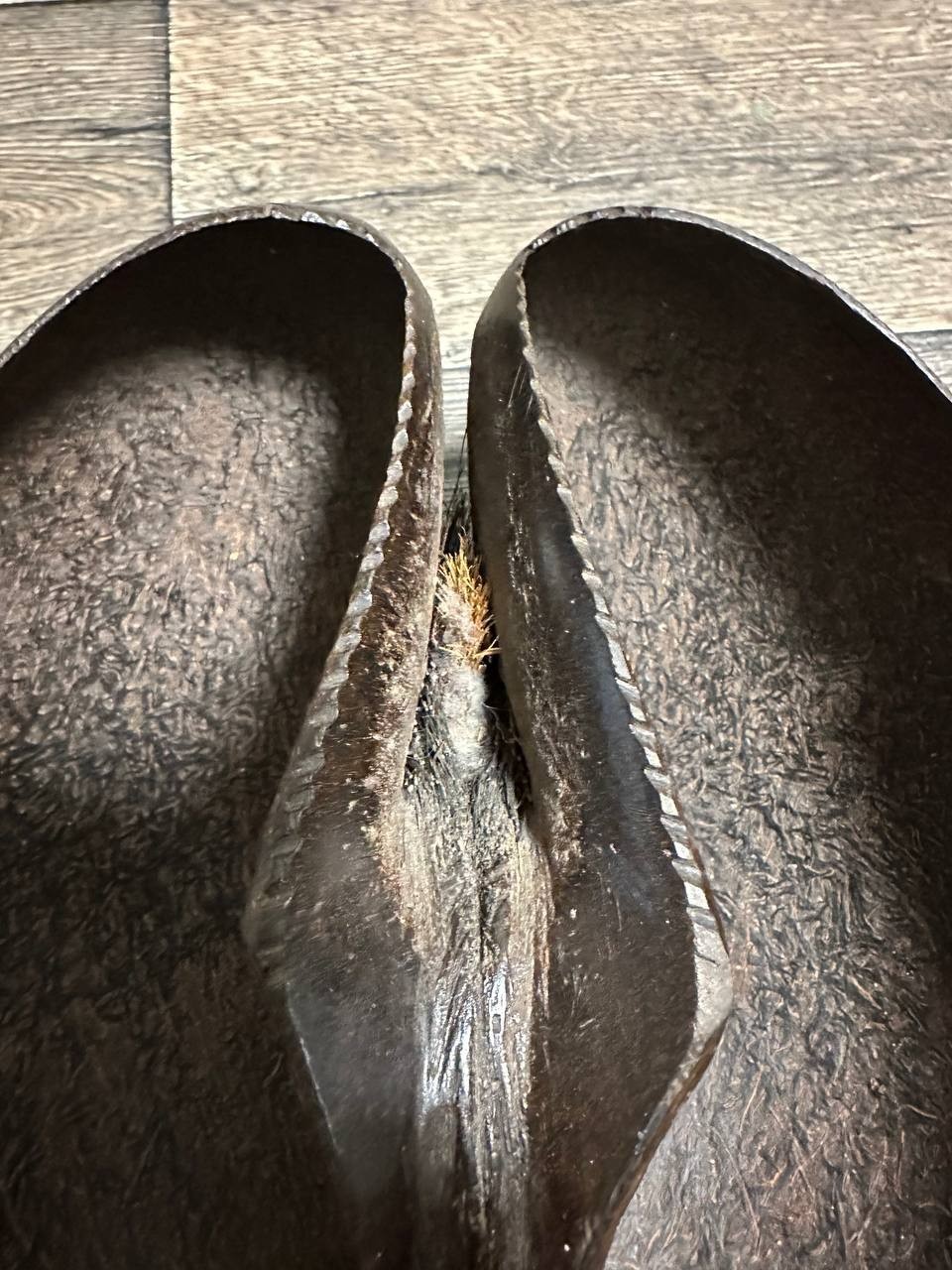 Antique Coco De Mer Nut Seed Basket