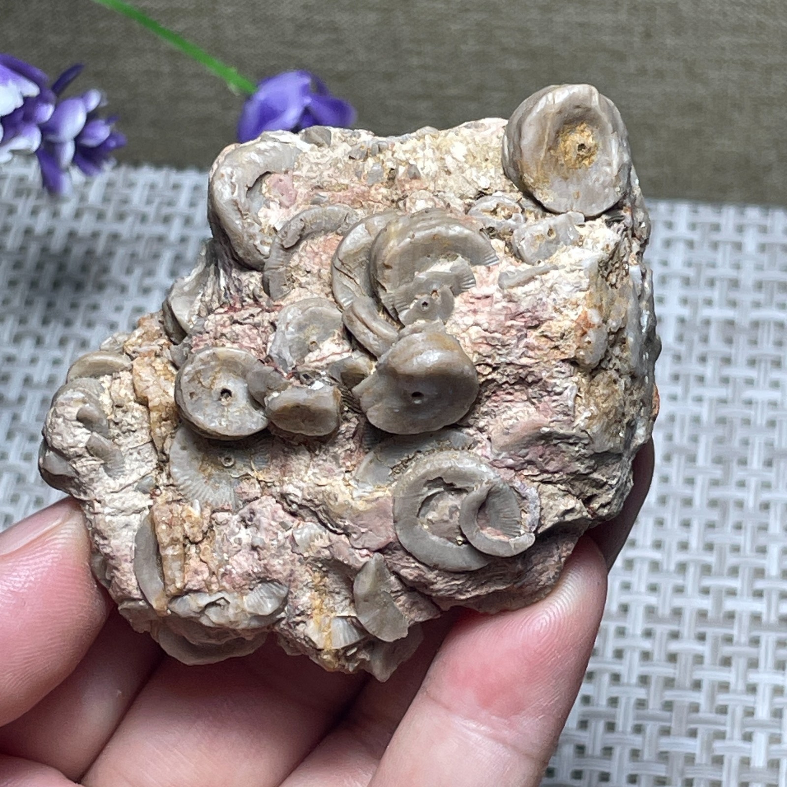 raw lily stone Madagascar  - viewing Home decoration 107g  A2