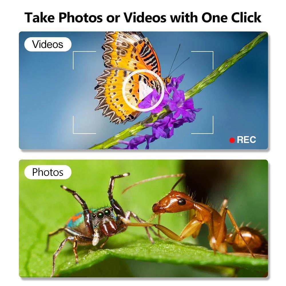 1600x Zoom 8 LED HD USB Microscope Digital Magnifier Endoscope Video Camera US