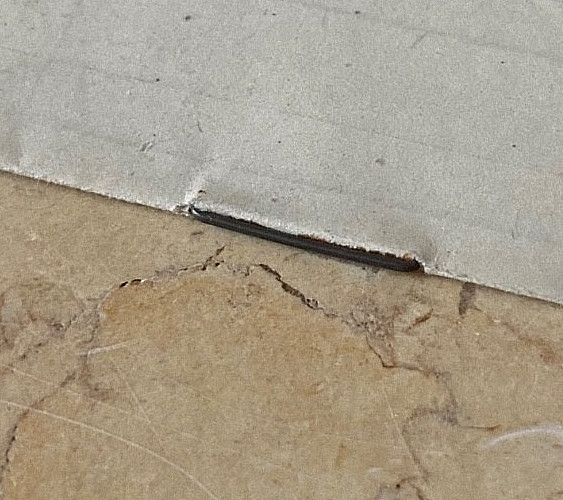 WW2 GERMAN PROTECTION SQUADRON + SECURITY SERVICE of DUTCH OCC. TERR. FORM 1944