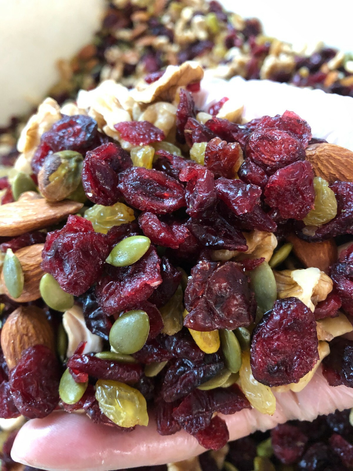 Omega-3 Deluxe Mix Cranberries Raisins Cashews Walnuts Almonds Pistachio Pecan