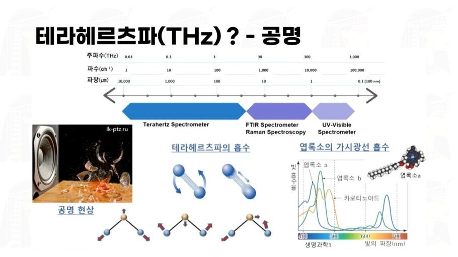 6G Terahertz Energy Patch /Made in Korea
