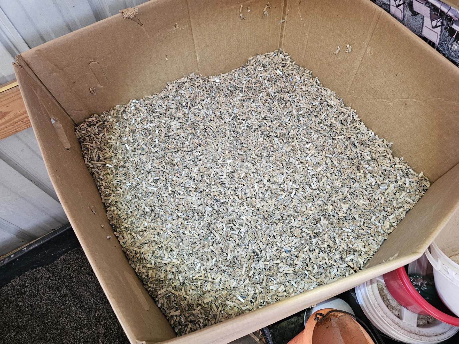 🪱1 lbs. Red Wiggler Worm Farm Starter Kit🪱 (Worms/Food/Bedding/Inoculant)