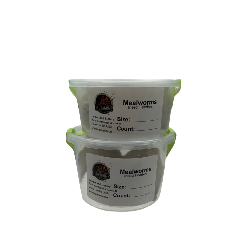 Live Mealworms Sizes: All Qty:50-2,000 Free Shipping or FedEx!!