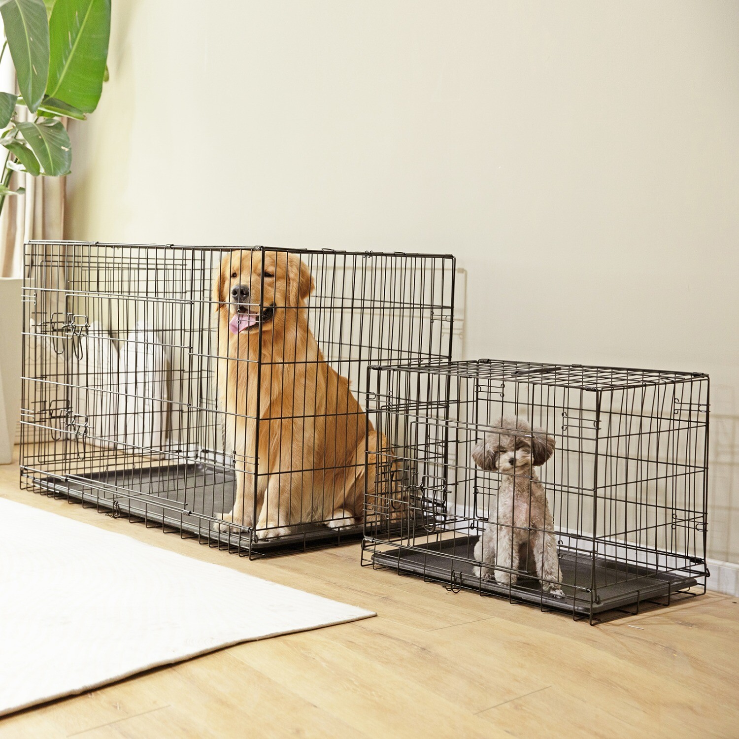 Foldable Metal Wire Dog Crate, Double Door,with Divider Panel & Plastic Pan Tray