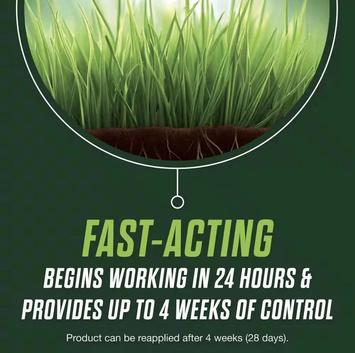 SCOTTS Healthy Plus Turf Builder Lawn Food Fertilizer - 4,000 SQ FT (13.7 LBS.)