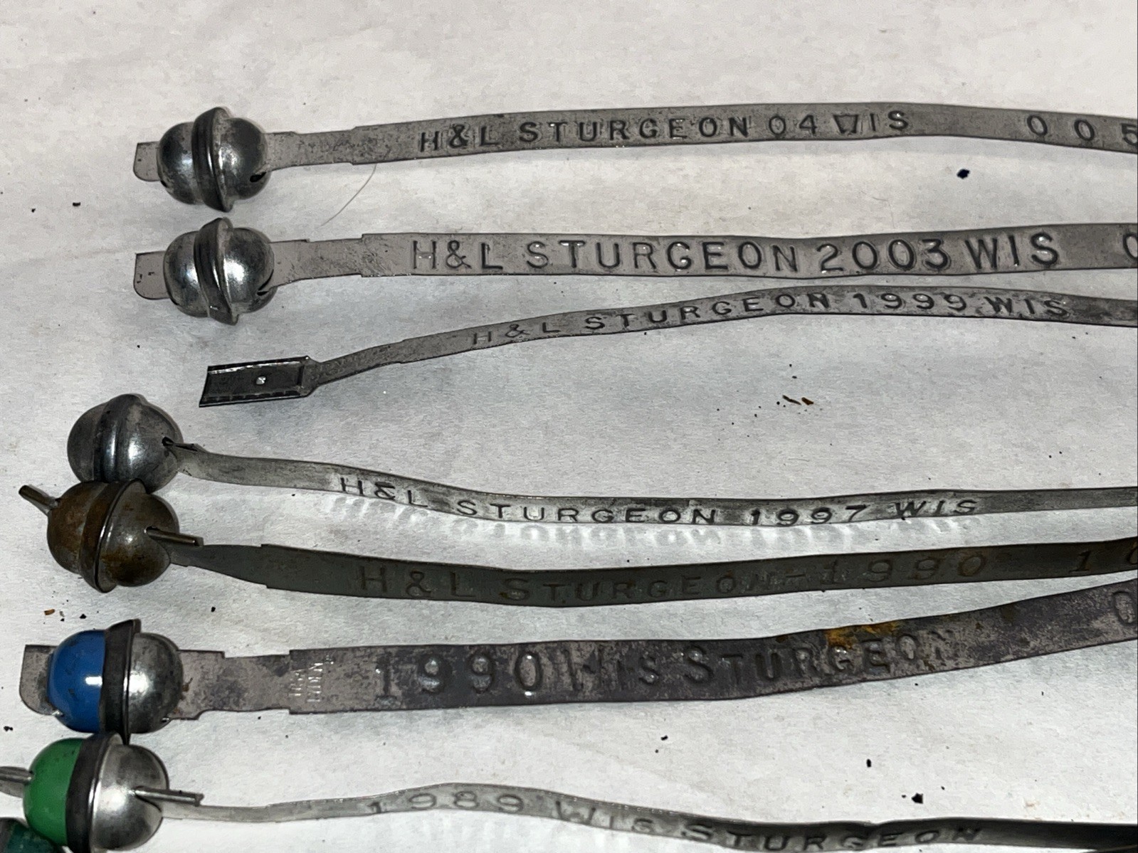 Wisconsin Sturgeon Tag Bundle 1974-2004 Fishing License Lot