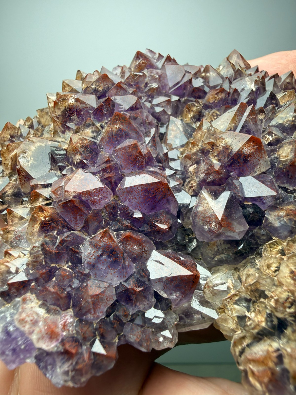 COLLECTORS!! Hematite included Amethyst plate - Blue Point Mine- Thunder Bay, CA