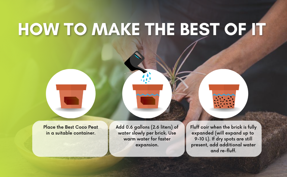 Best Coco Peat-Premium Coir Pith 3 Brick Pack, 650g/1.4 Lbs,Lowest EC & Ph Value