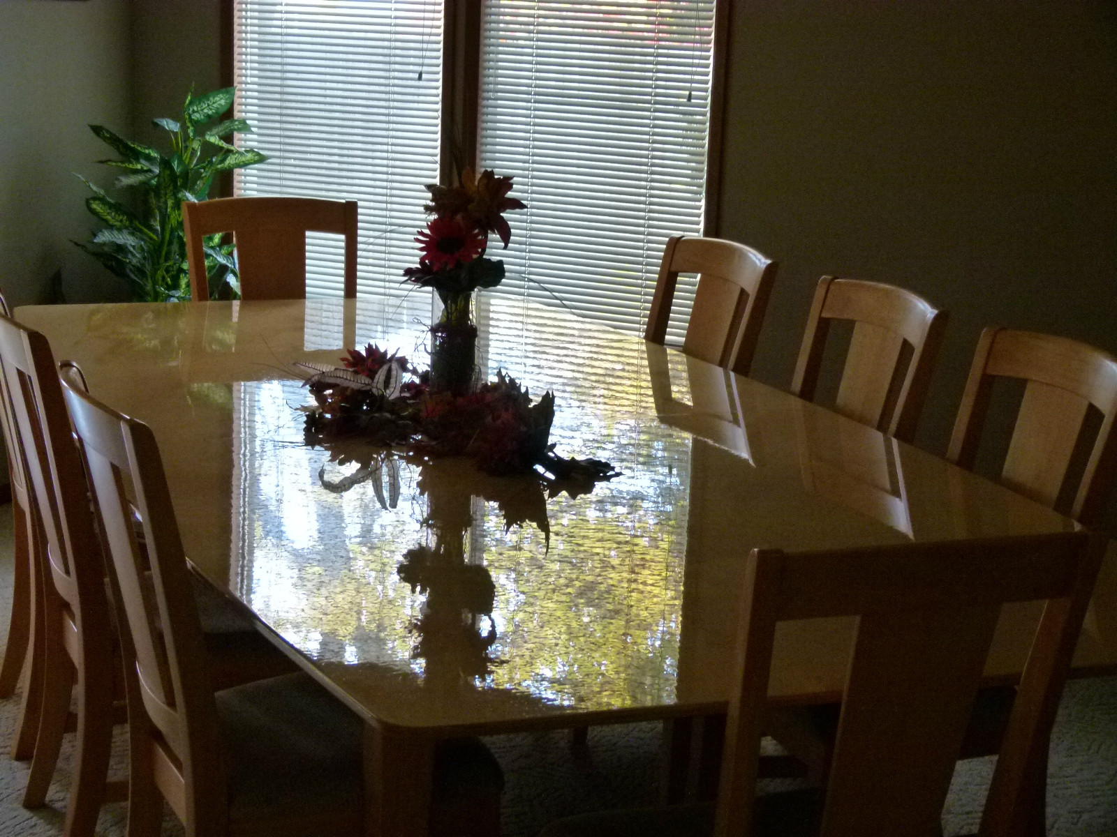 COSTACOAT 16oz. Wipe-On Shine Protective Clear Coat Finish Sealer Protectant NEW