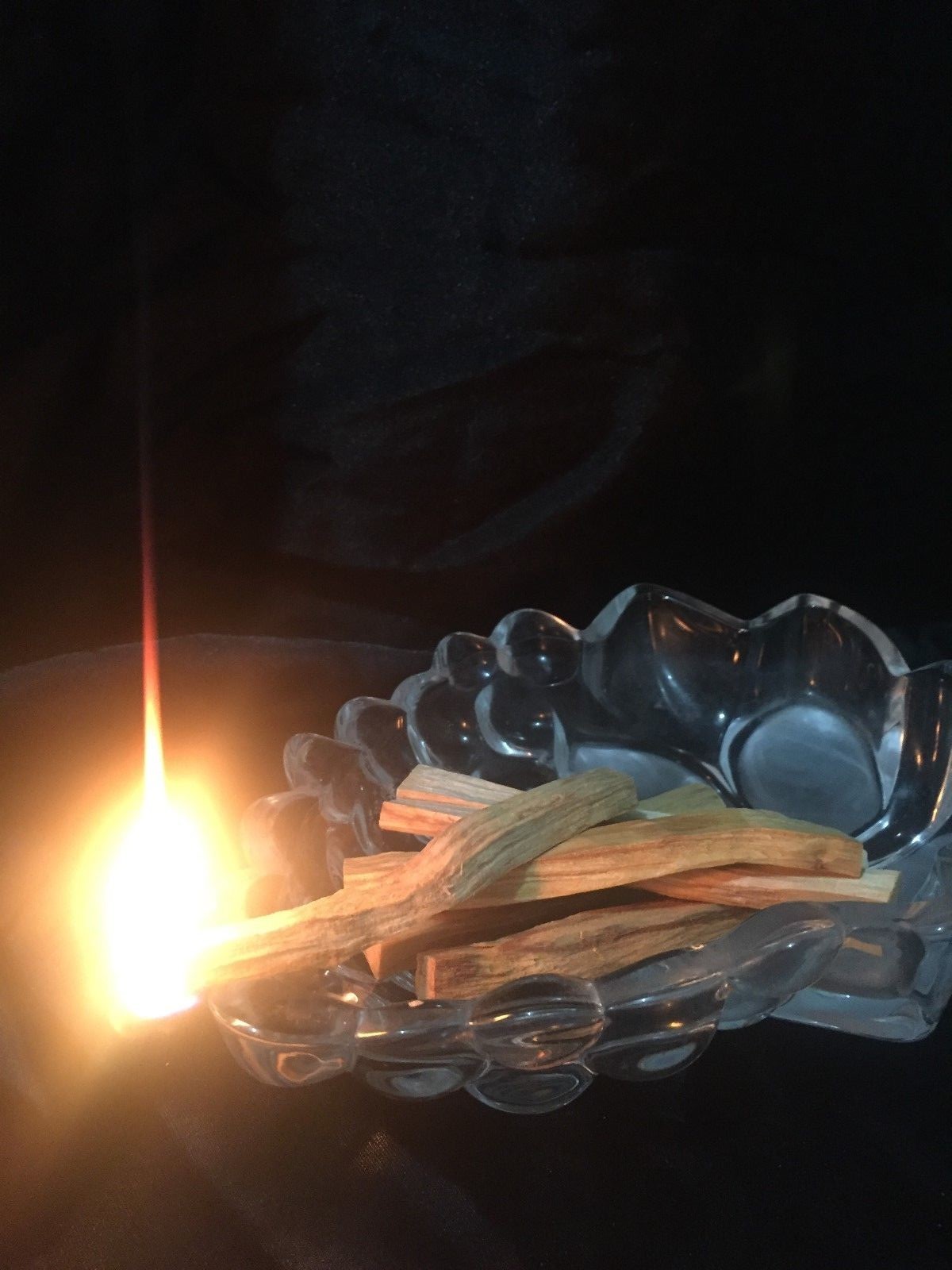 Palo Santo Incense 100 fresh sticks (4+inches long)