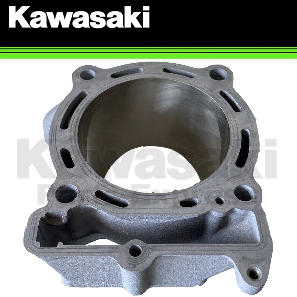 NEW 2019-2020 GENUINE KAWASAKI ENGINE CYLINDER KX450 KX 450 11005-0704