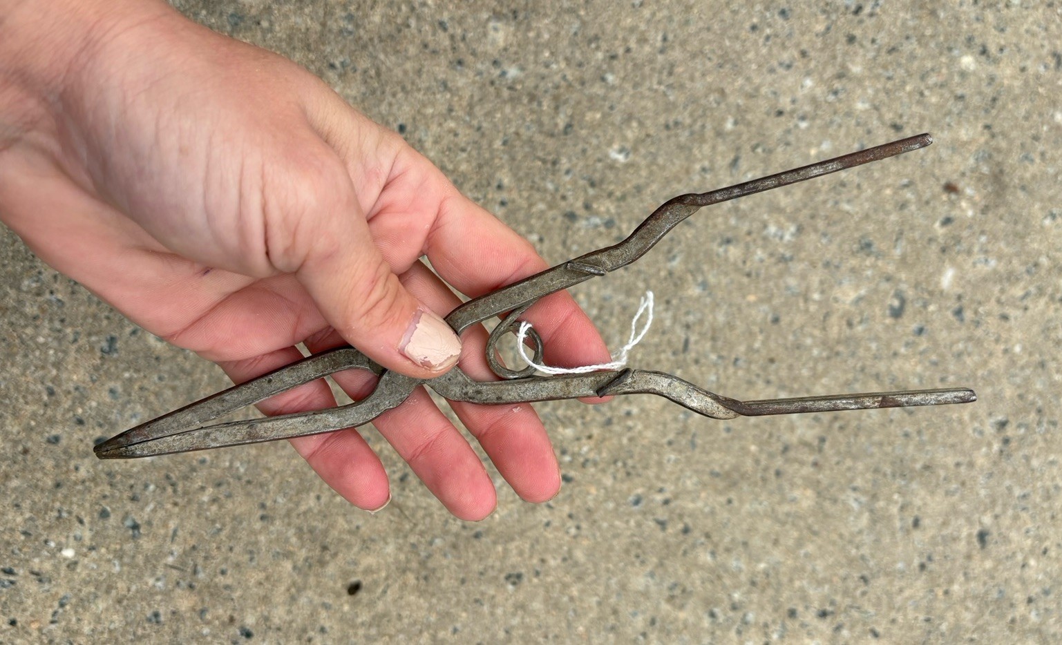 Antique Primitive Crucible Tong Lab Tool Vintage Science Pinchers Rustic Decor