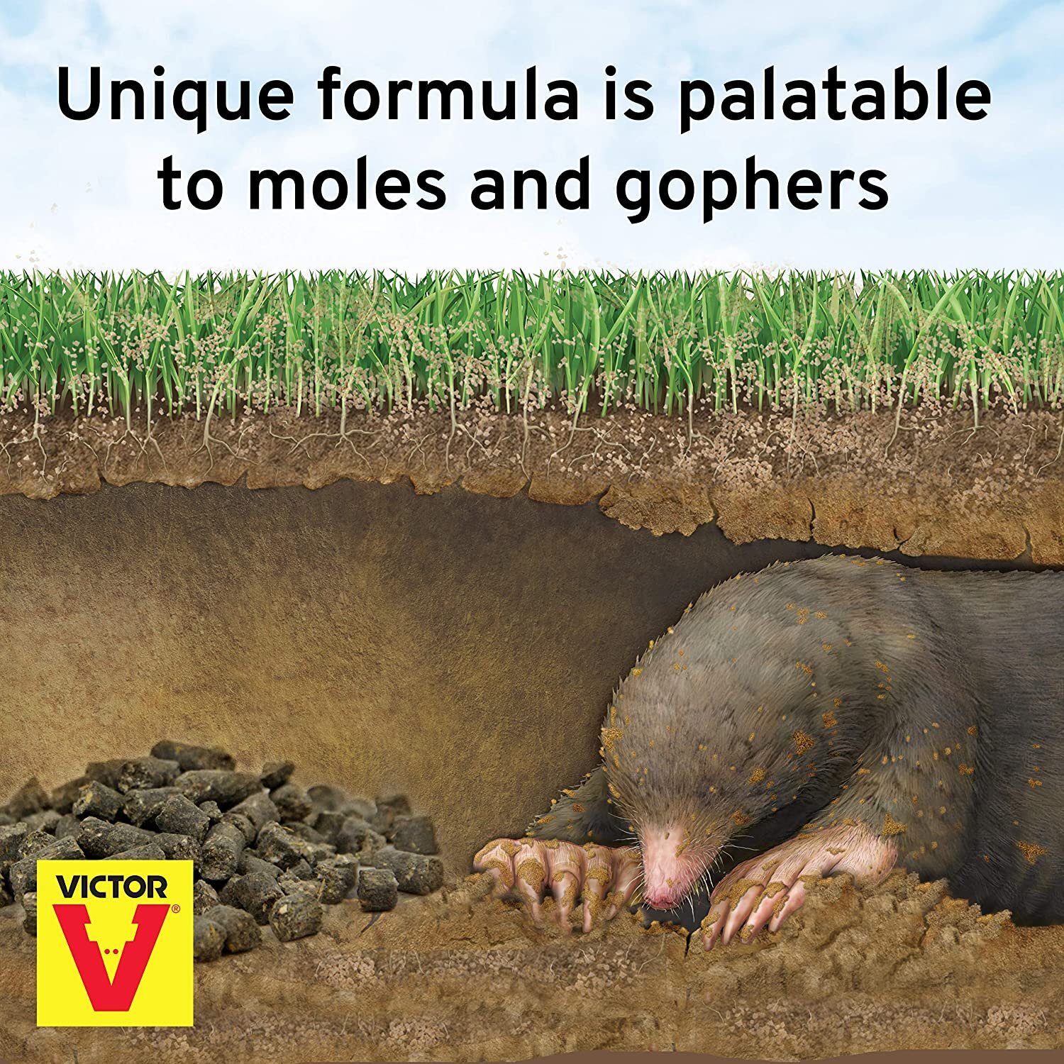 Victor M6006 Outdoor Mole & Gopher Poison Peanuts - Mole and Gopher Bait...