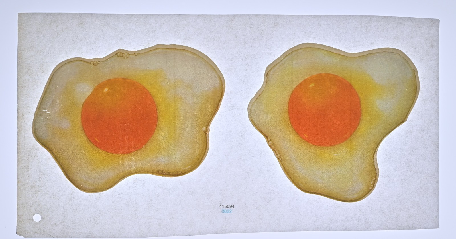 Original VINTAGE 1970s Heat Transfer | Fried Eggs