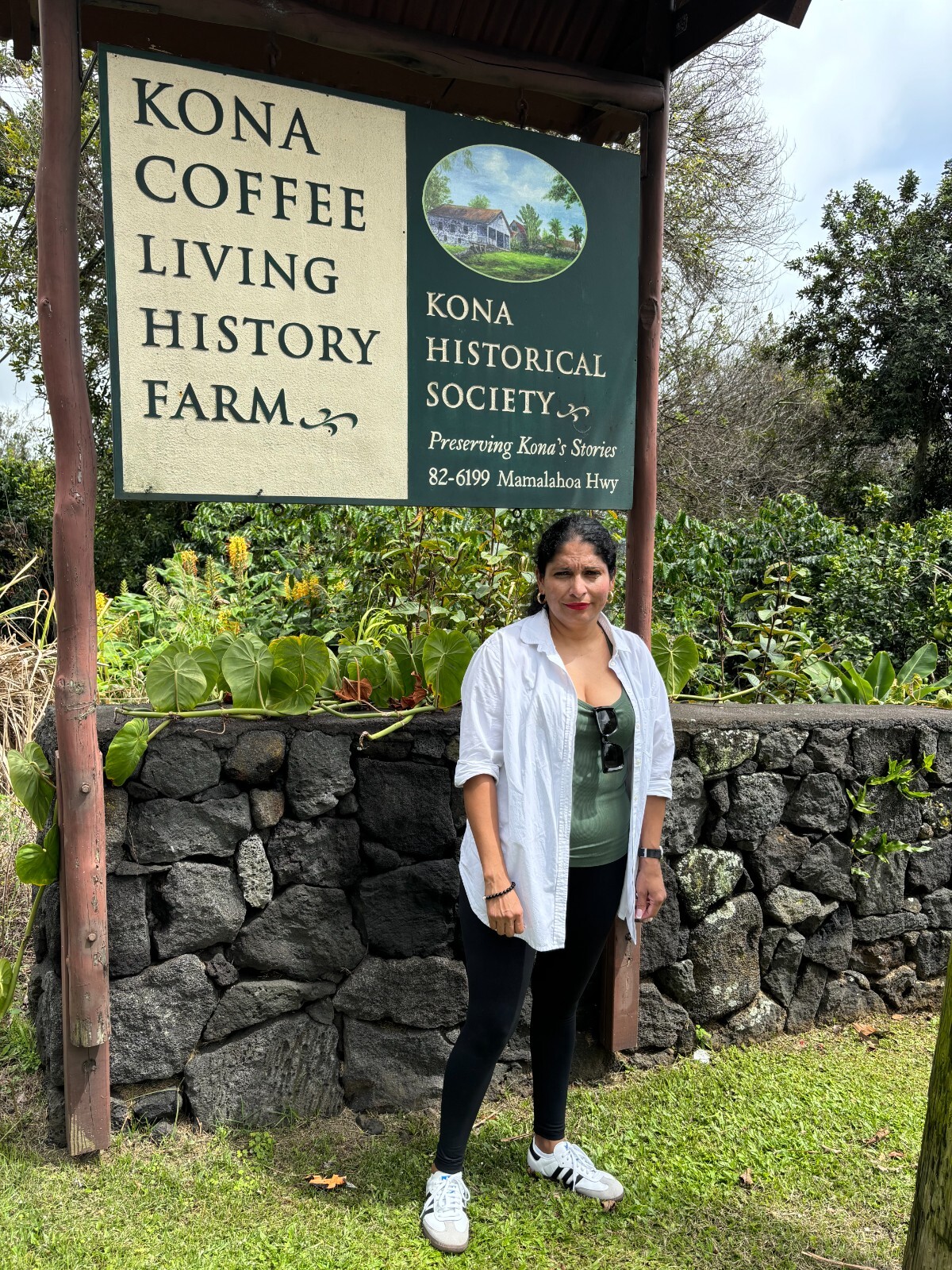 AUTHENTIC Kona Coffee Bean Medium Roasted 1 / 15 POUNDS IN 1 POUND BAGS