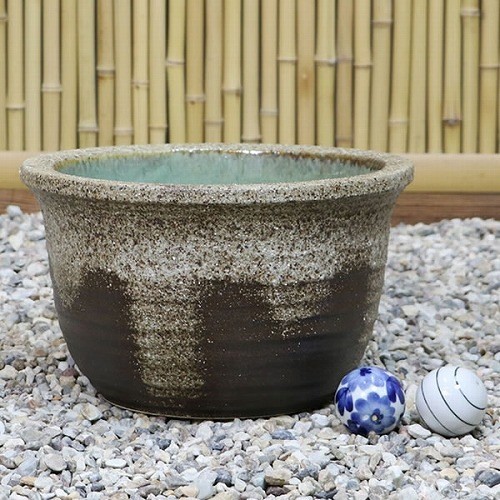 No.10 Gray Drip-Glazed Water Lily Bowl, Shigaraki—Goldfish/Medaka [su-0194]