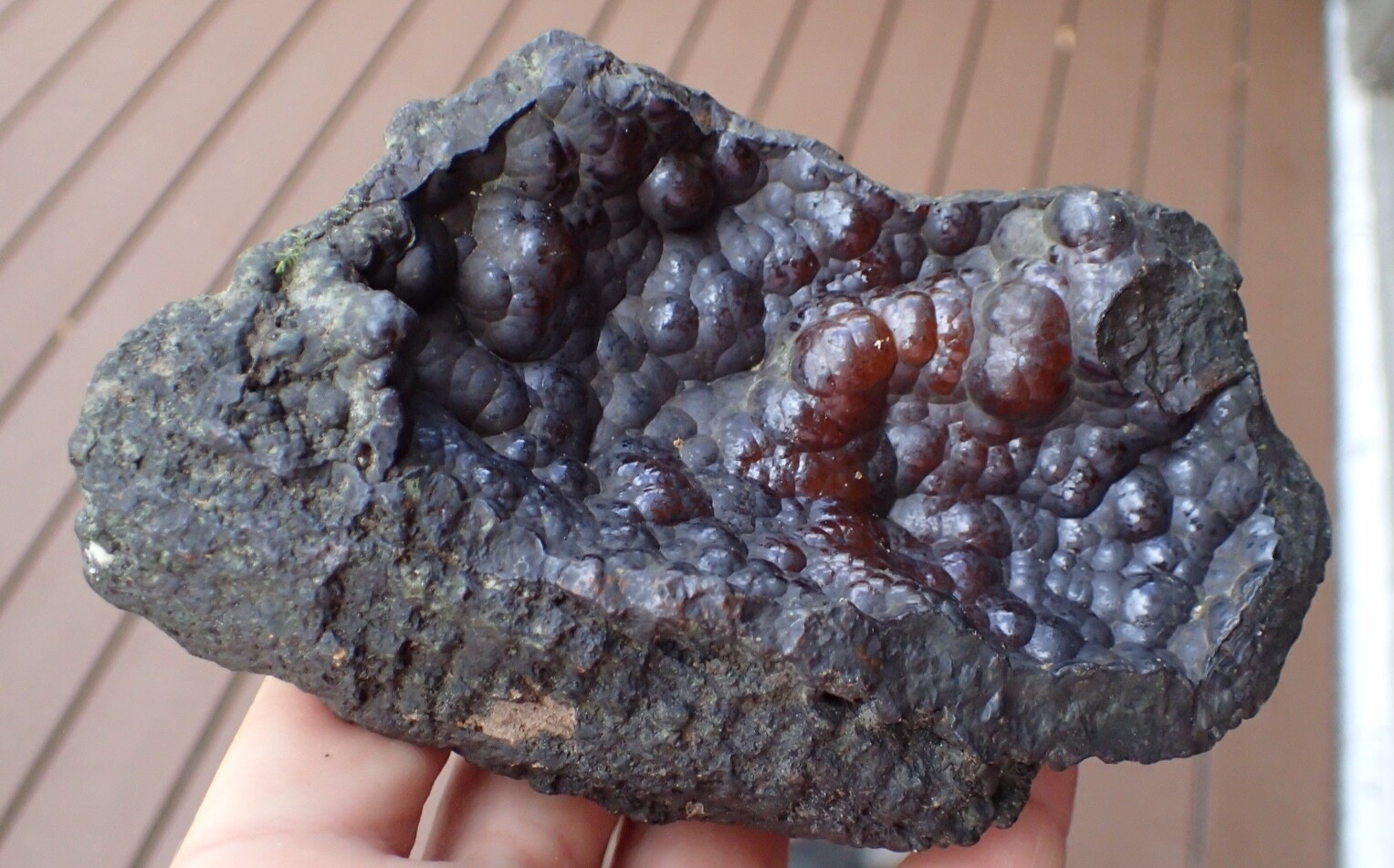 Botryoidal Fossil Coral Geode Chunk GA Specimen Collection Agate Marine Sea WC63