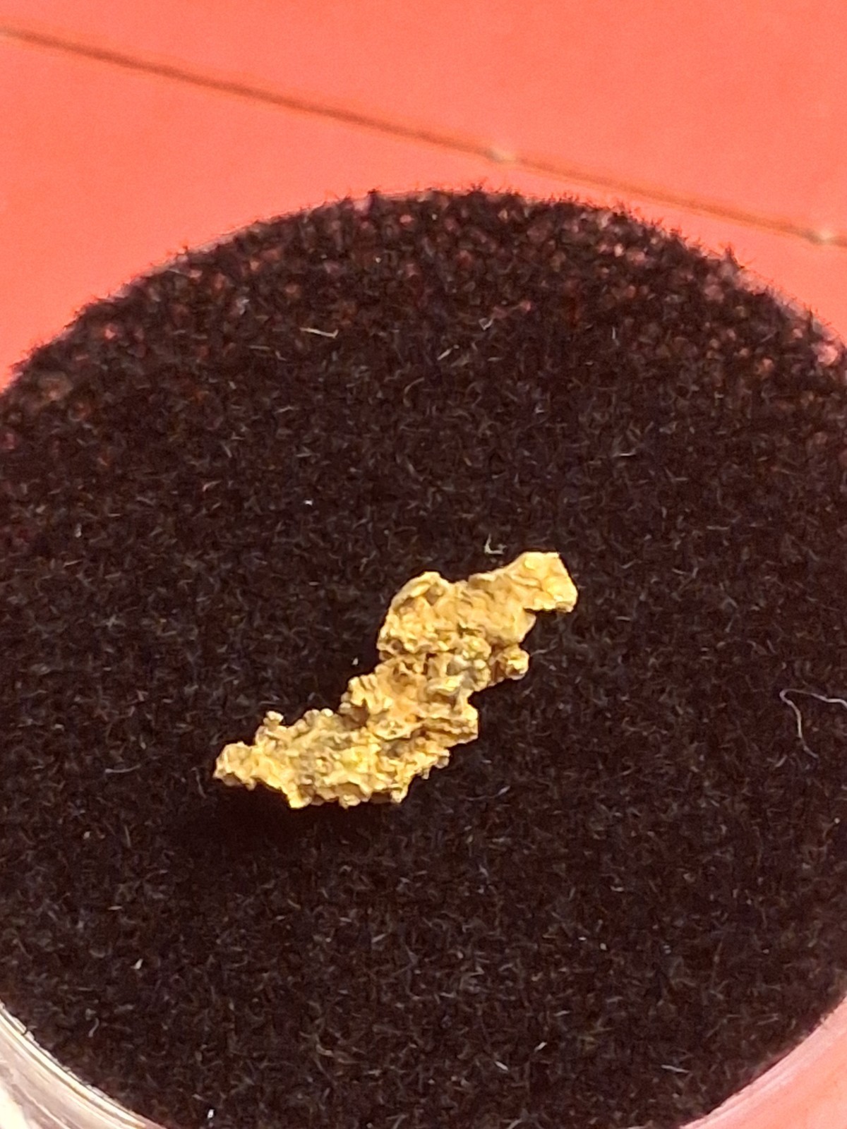 Crystalline Gold Nugget 0.294g from Kansas Twister Paydirt