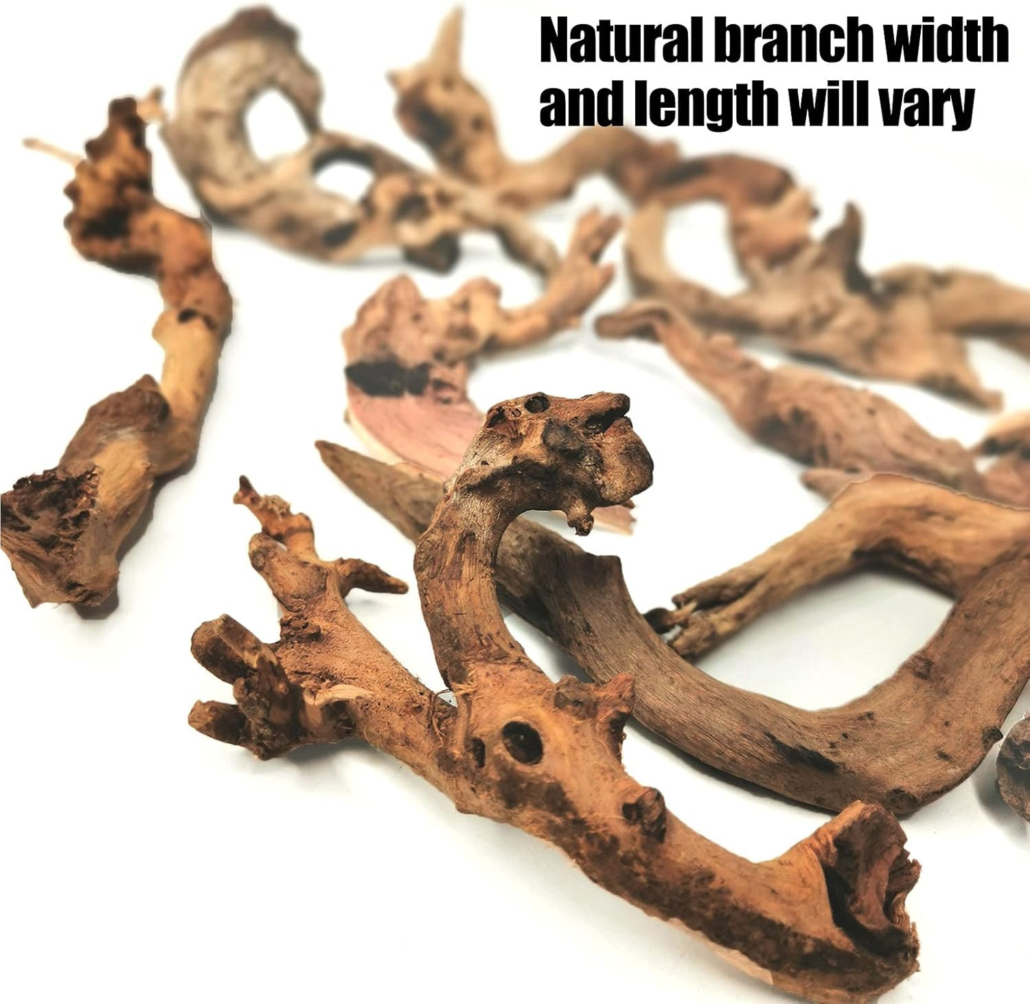 Aquarium Driftwood 10 PCS Natural Wood Driftwood Branches Habitat Decor