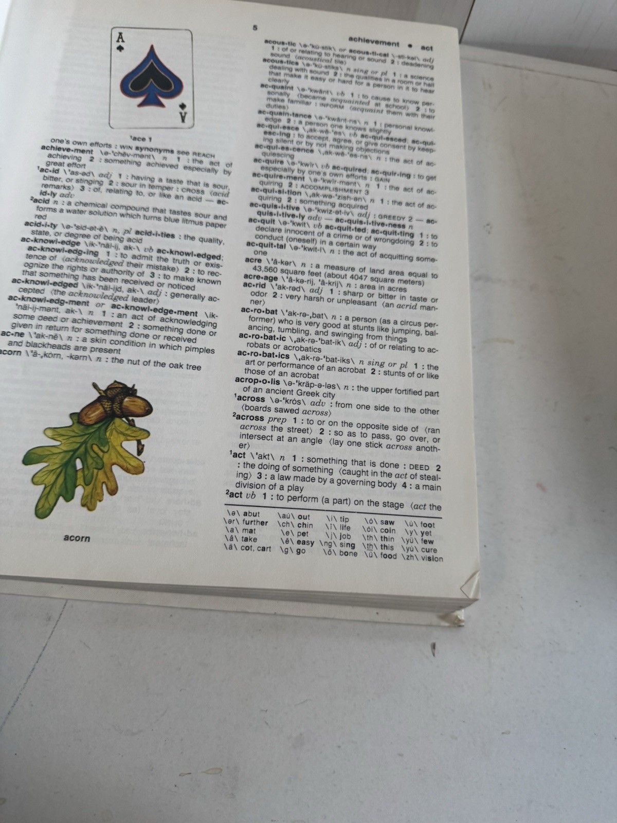 Webster's Elementary Dictionary 1980 Yellow Cover