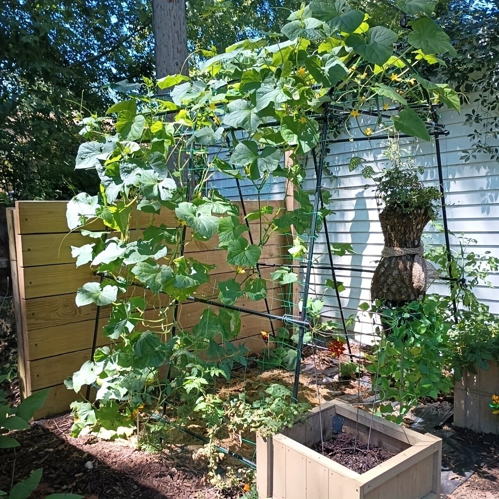 Garden Trellis Tall Cucumber Trellis Arch for Climbing Plants w/ Trellis Netting