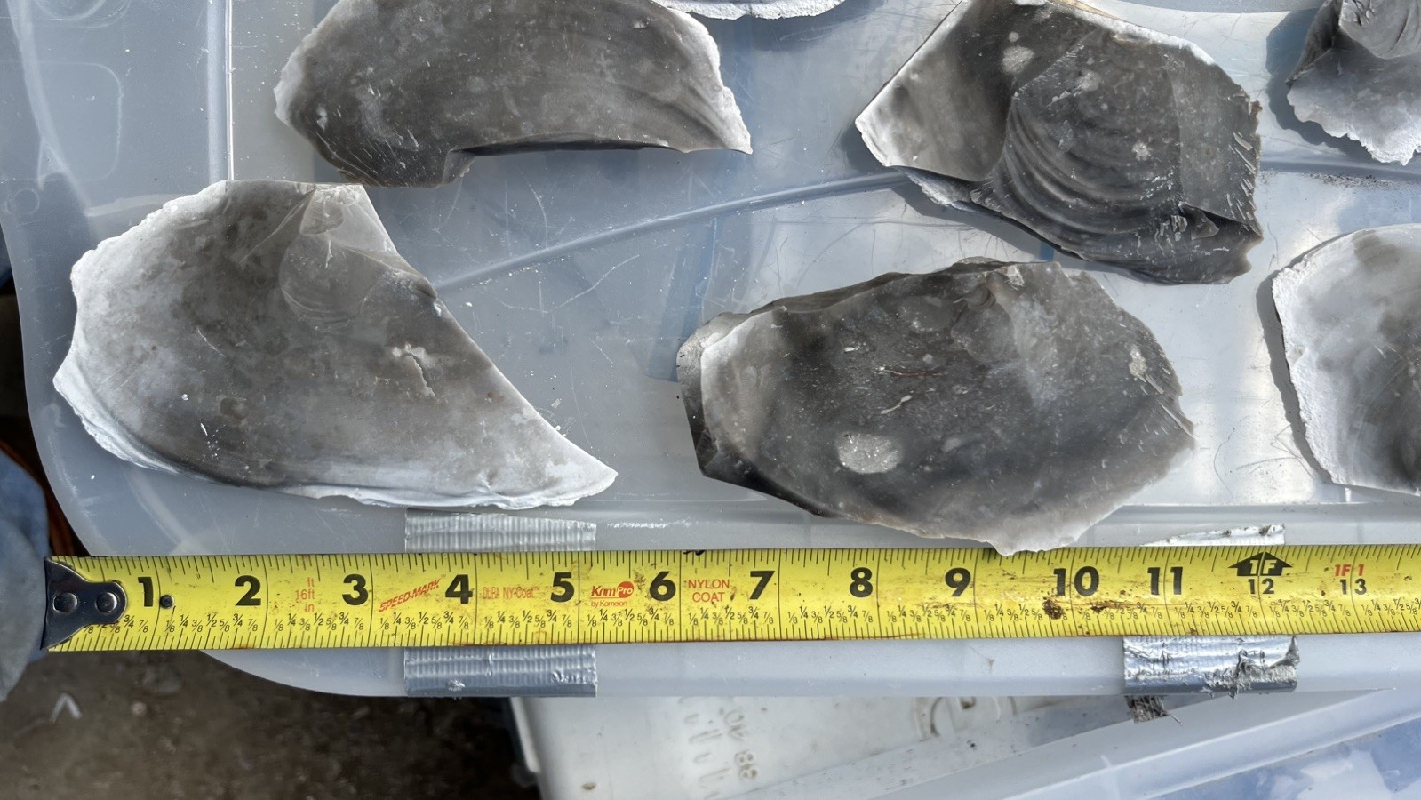 Heat Treated Variety Texas Chert/Flint spalls for making 1-5 in. Points -12 lbs.