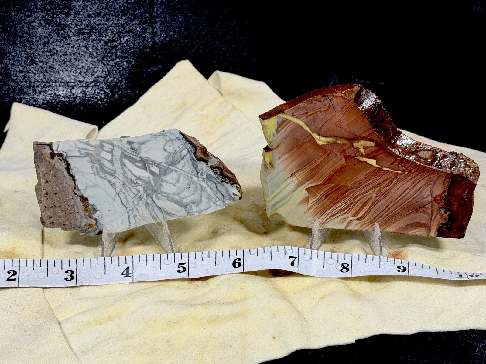 Beautiful Willow Creek Jasper Slab Set, Lot#191