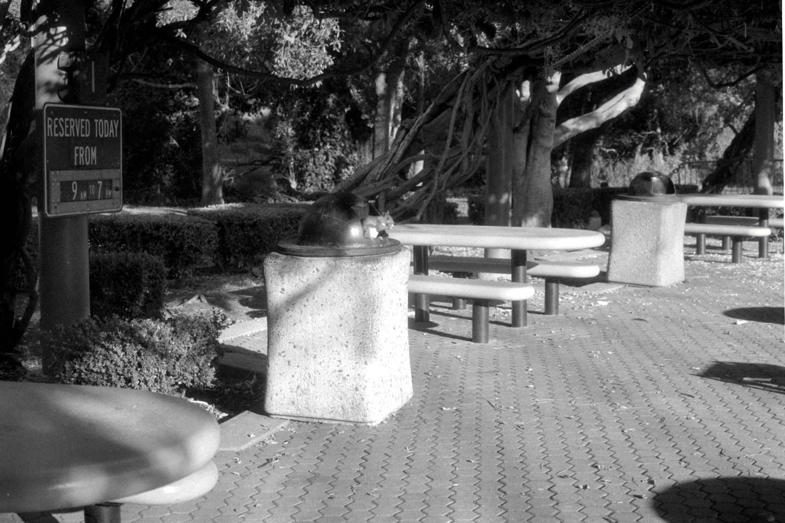 35mm Camera Film (3 Pack, 24 exp) - Kodak SO-078 BW Negative Film