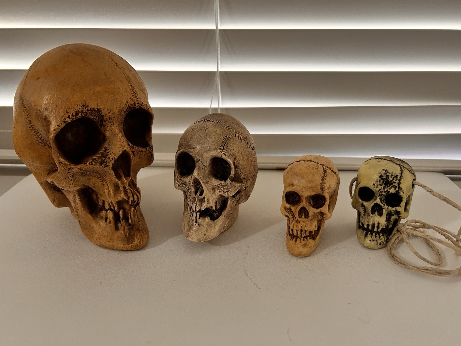 4 EA. RANDOTTI ORIGINALS LARGE, MEDIUM, PIXIE,& FLAT BACK PIXIE SKULLS ALL GLOW