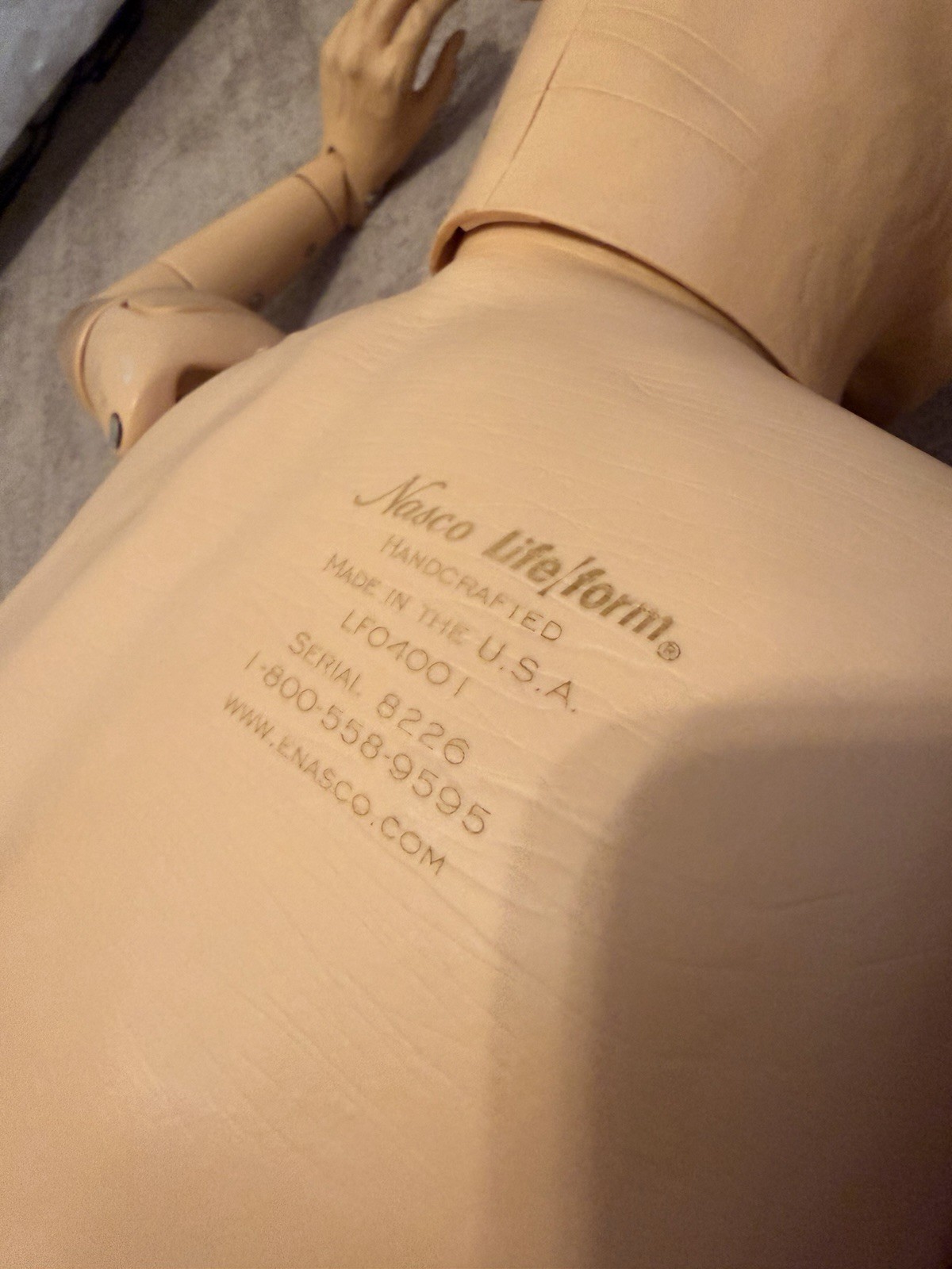 Nasco Lifeform Nursing Skills Manikin Mannequin Geriatric Simulator Medical