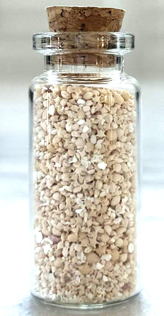 Star Sand Okinawa Ishigaki Island Star Sand 10ml Glass Bottle JAPAN *US Seller