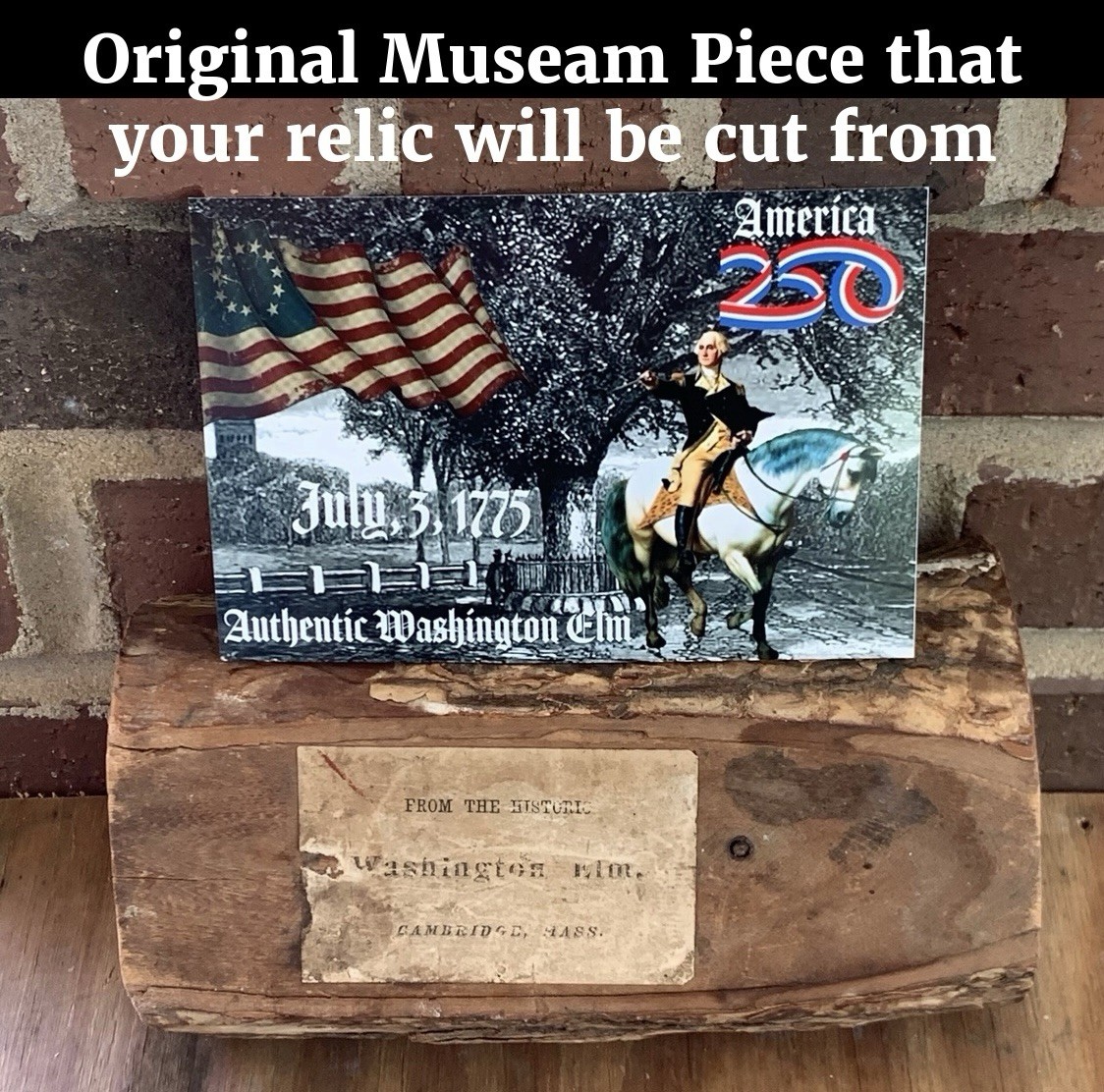 Original Piece of Georgia Washington’s Elm Revolutionary War