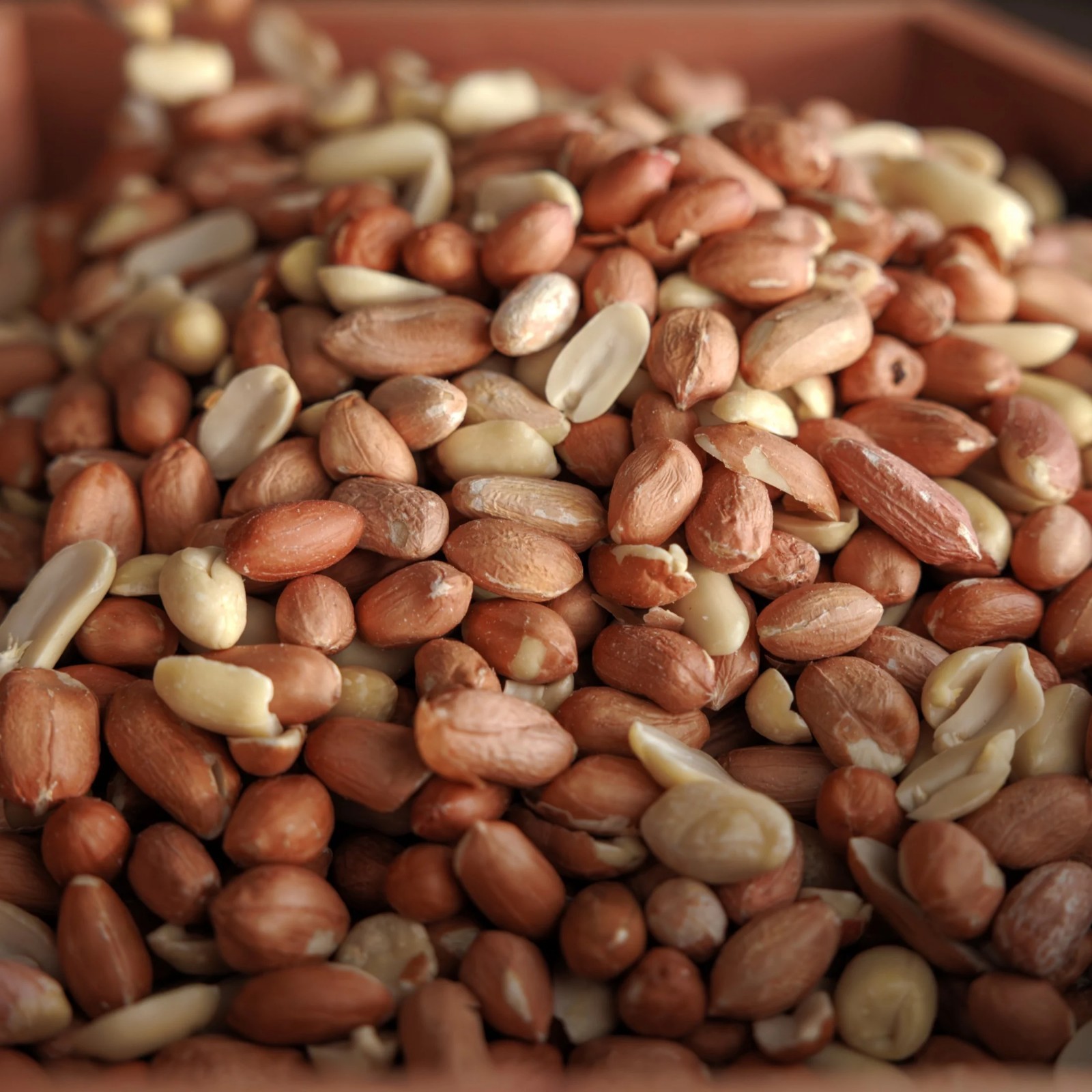 Pennington Shelled Peanuts Wildlife and Wild Bird Food, 5 lb. Bag, 1 Pack, Dry