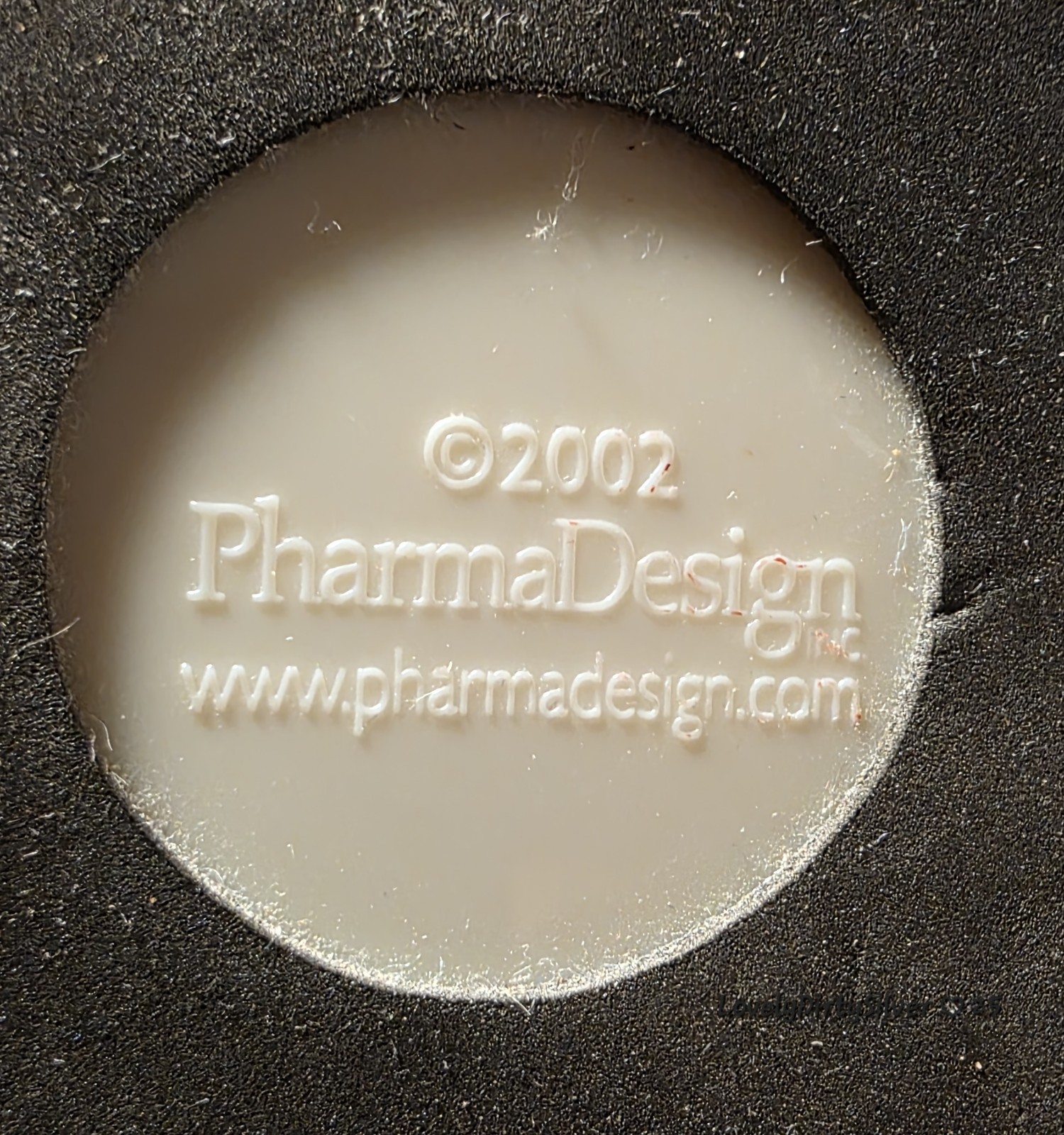 Horror 2002 3D Brain Neuroanatomical Medicine Promo ~ Doctor's Display