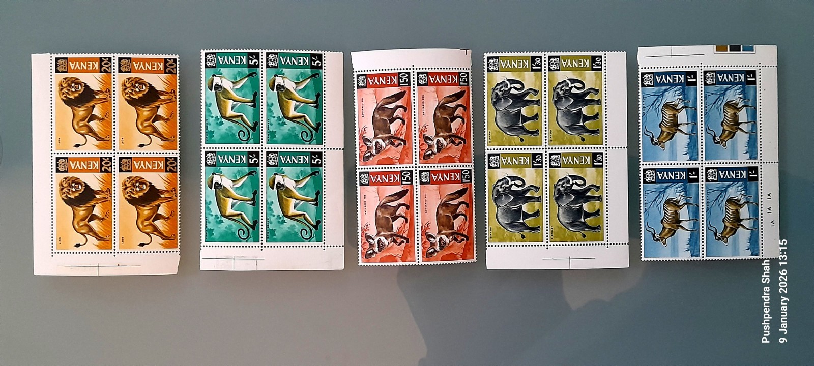 1966-69 Kenya BEAUTIFUL Animals MNH BLOCKS OF 4 of five values HARIASTAMP