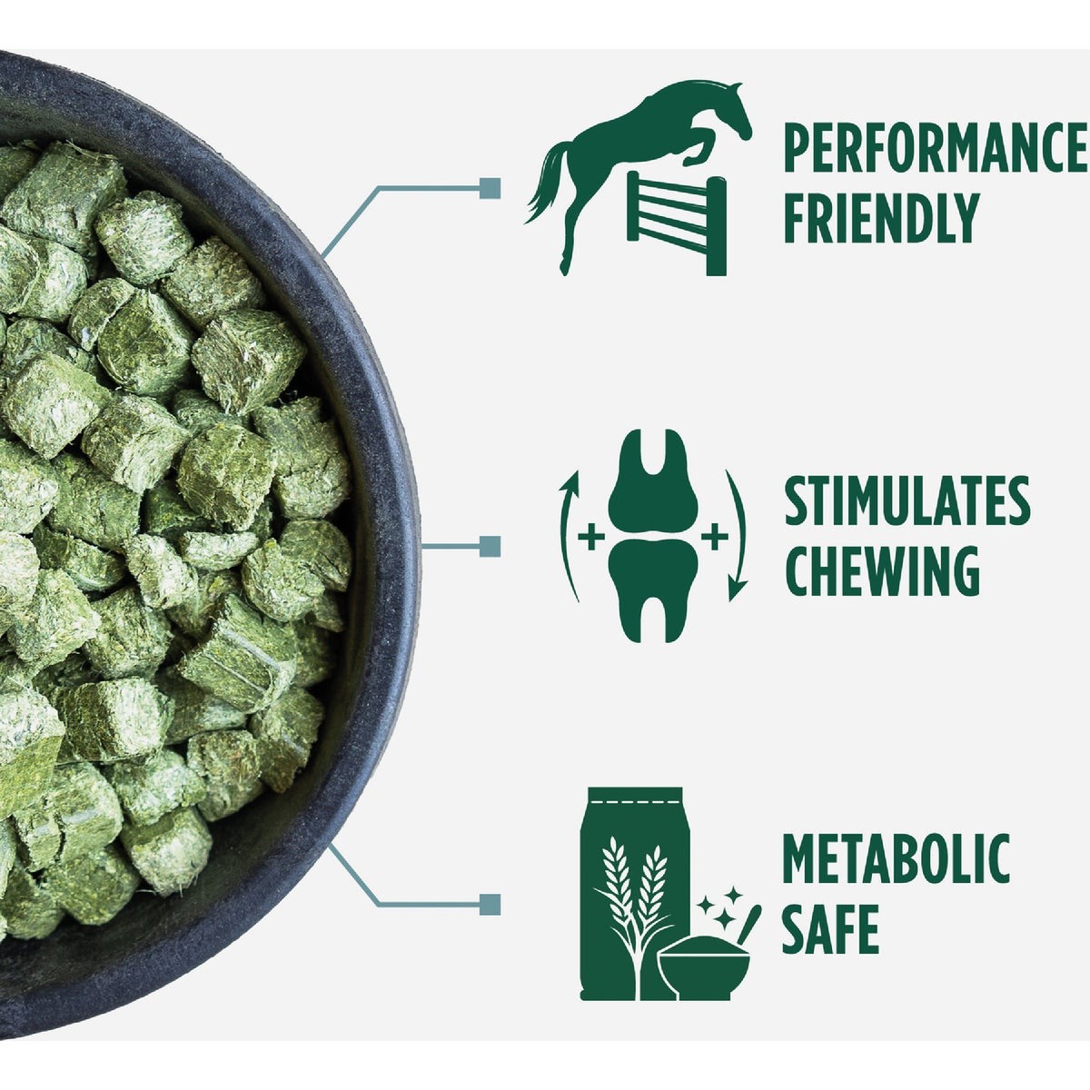 Standlee Premium Western Forage 40 Lb. Alfalfa & Timothy Cubes 1580-40101-0-0