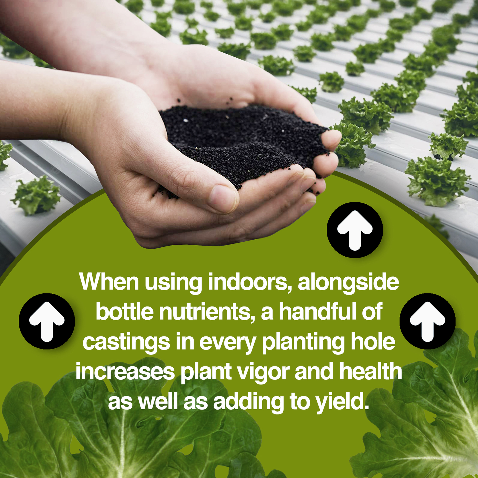 Detroit Nutrient Company All Natural Vermicompost Worm Castings, 25 Pounds