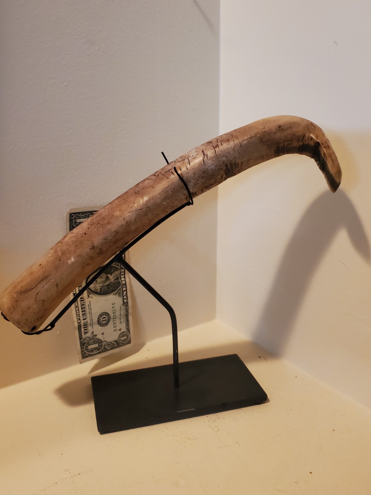 Antique OLD Native American Indian plains hide scraper 1840s  19th c.