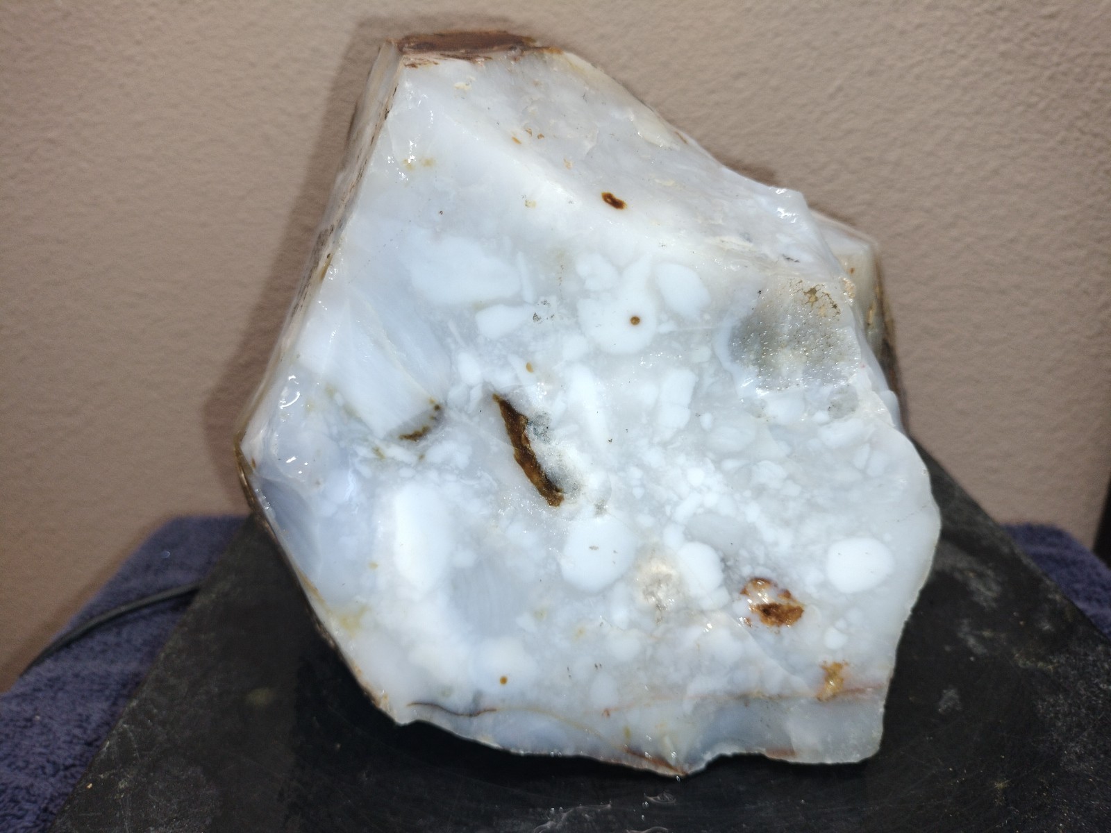 11.7LB UV Polka Dot Agate Rough From Ashwood, OR USA Cabochon/Slab Stock #25