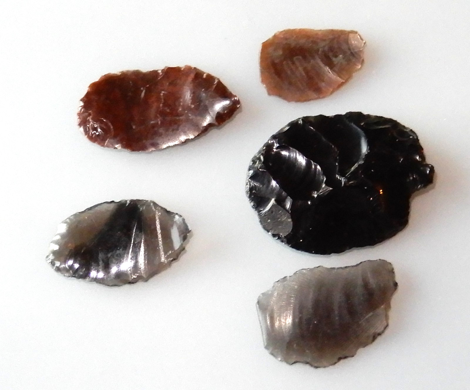 Five pieces of Obsidian, Granite Creek, Chino Valley, Arizona