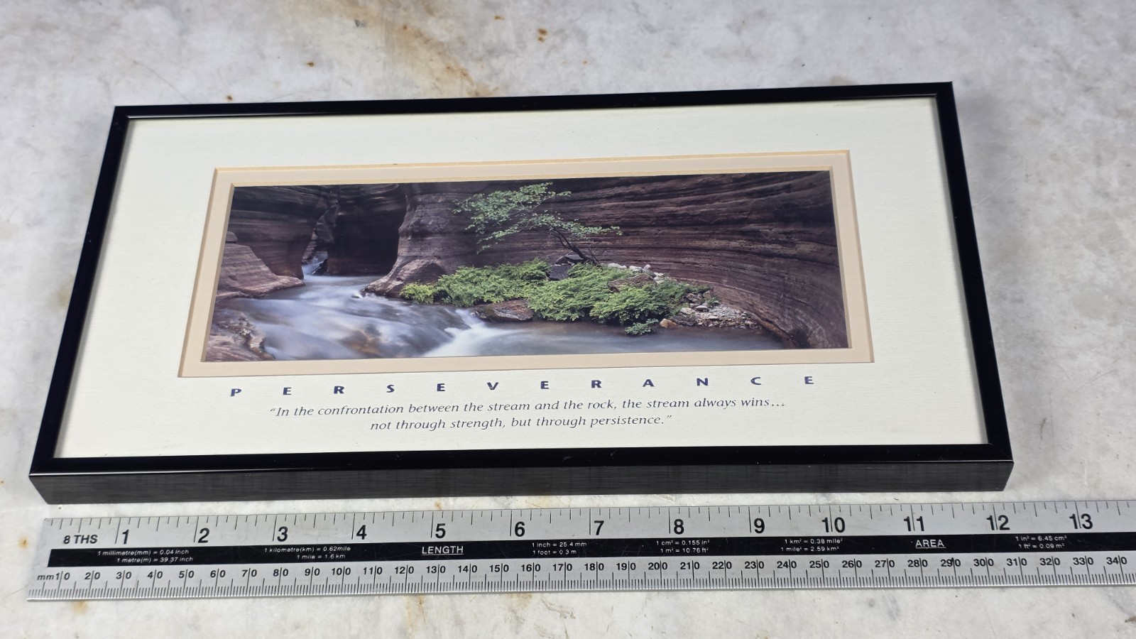 "PERSEVERANCE" Professional Framed Artwork - DECOR